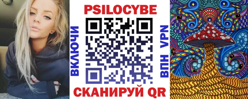 kraken рабочий сайт Туран Псилоцибиновые грибы Cubensis